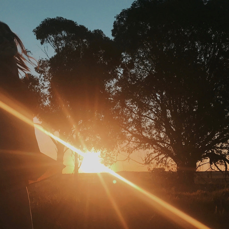 Discovering the Inner Warrior