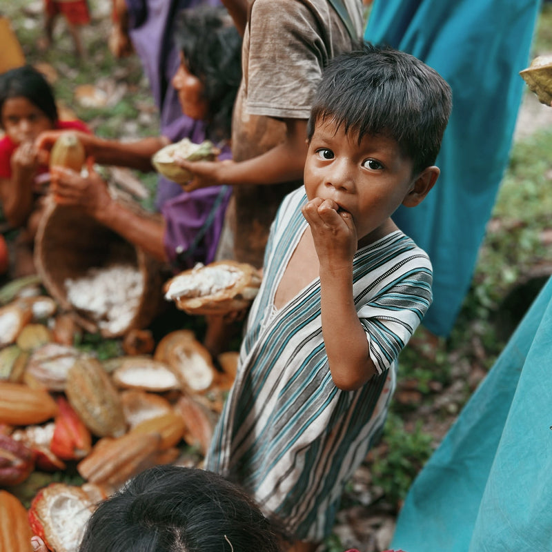 Urgent Appeal for the Ashaninka