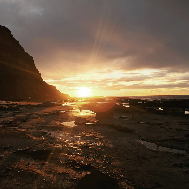 The Light of the Sun